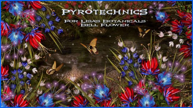 pyrotechnics-for-lisa’s-botanicals-bell-flower