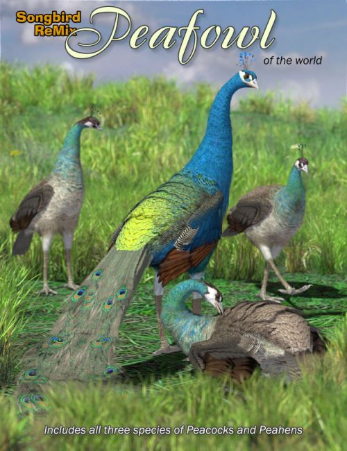 sbrm-peafowl-of-the-world
