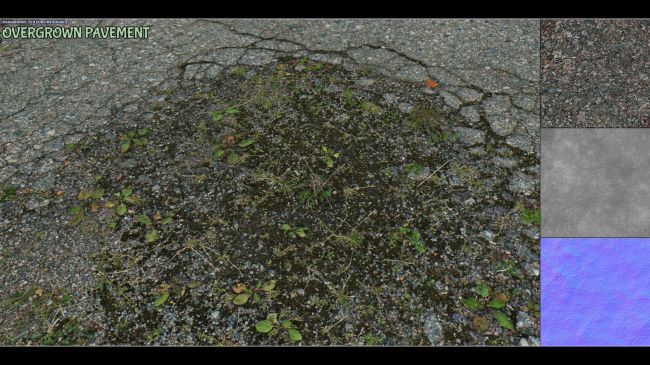 panoramic-texture-resource:-overgrown-pavement-superfly