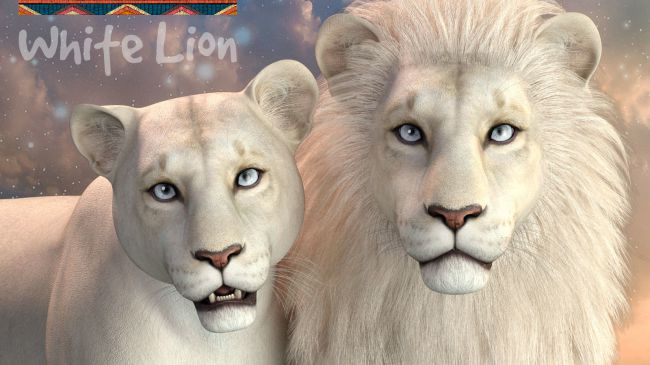 cwrw-white-lion-for-the-hivewire-lion-family