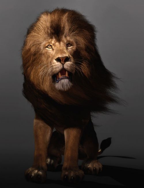 felidae-by-am-–-lion-–-dforce-addon