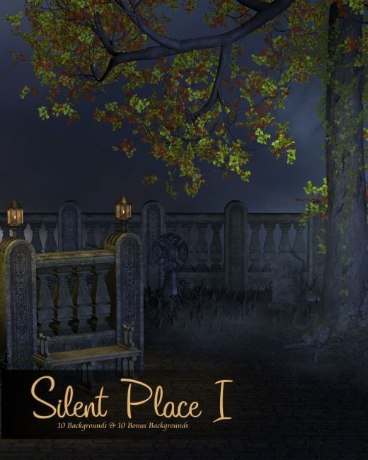 silent-place-i