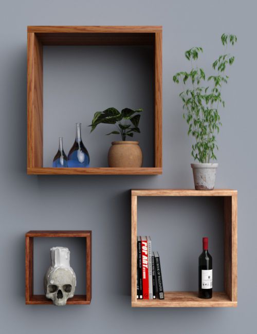 contemporary-shelves