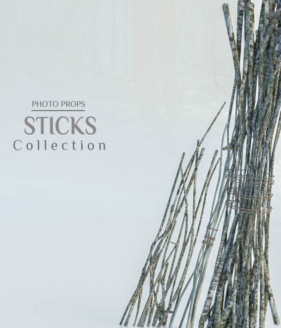 photo-props:-stick-collection